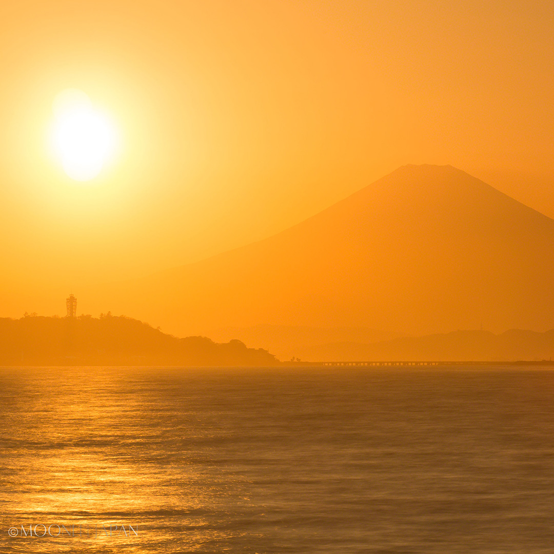 APRICOT SUNSET | MOONLIT JAPAN