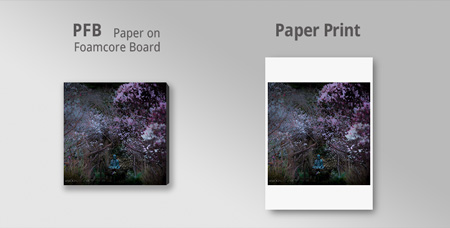 pfb and paper print