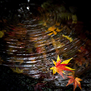 AUTUMN-FILLED POT