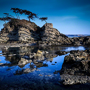 BLUE AT LOW TIDE