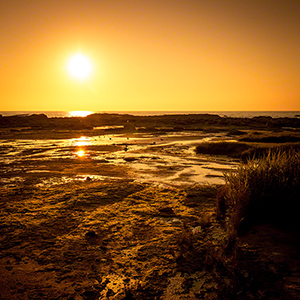 DUSK AT LOW TIDE