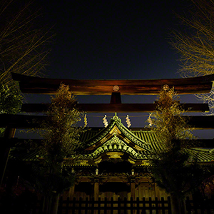 THE GATEWAY